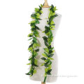 /msite/products/detail/productid/63346237/id/1519436.html